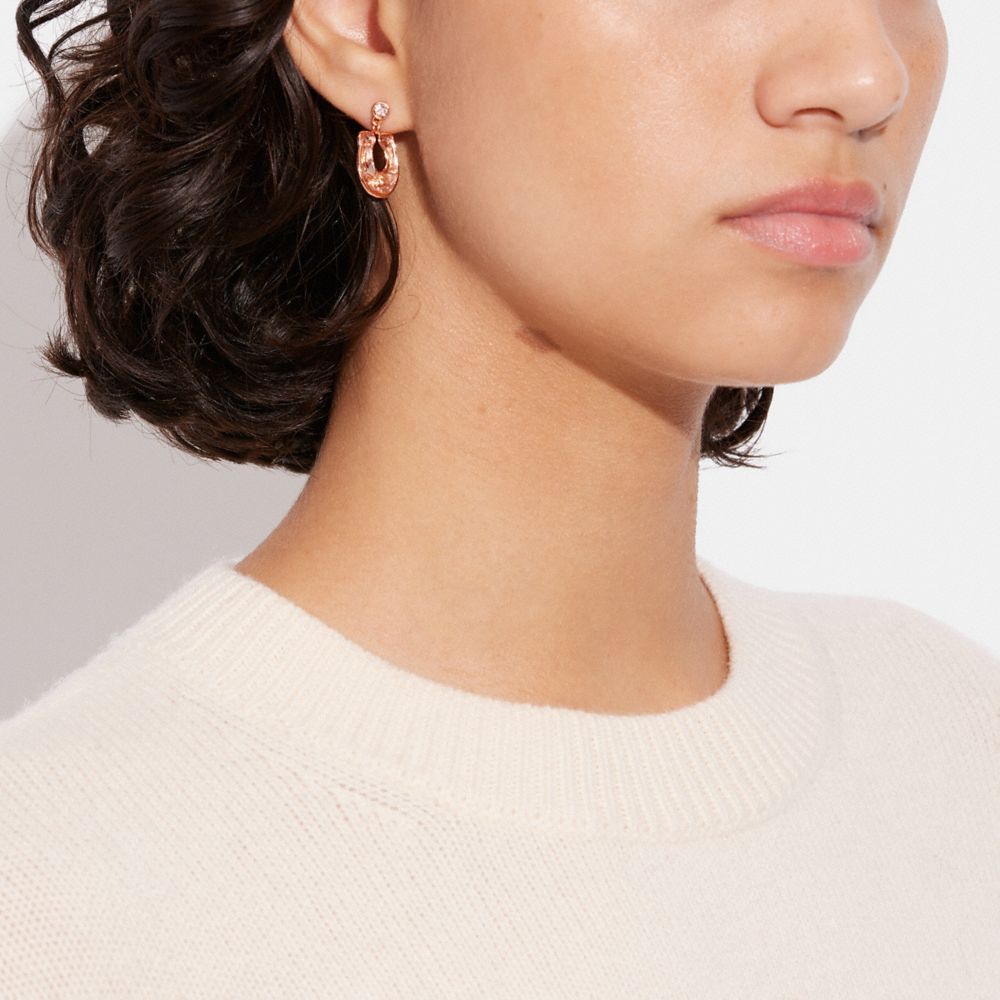 Rosa,vista dettagliata