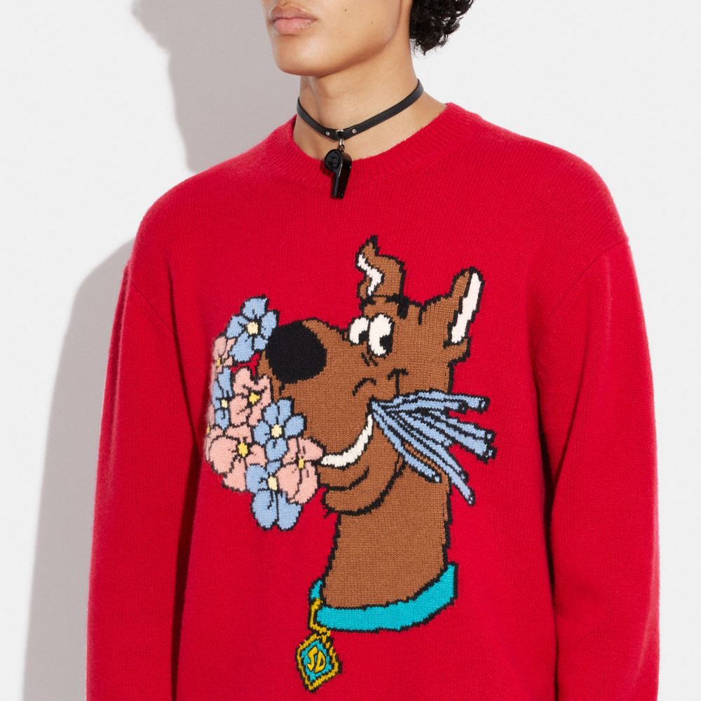 Red coach discount sweater