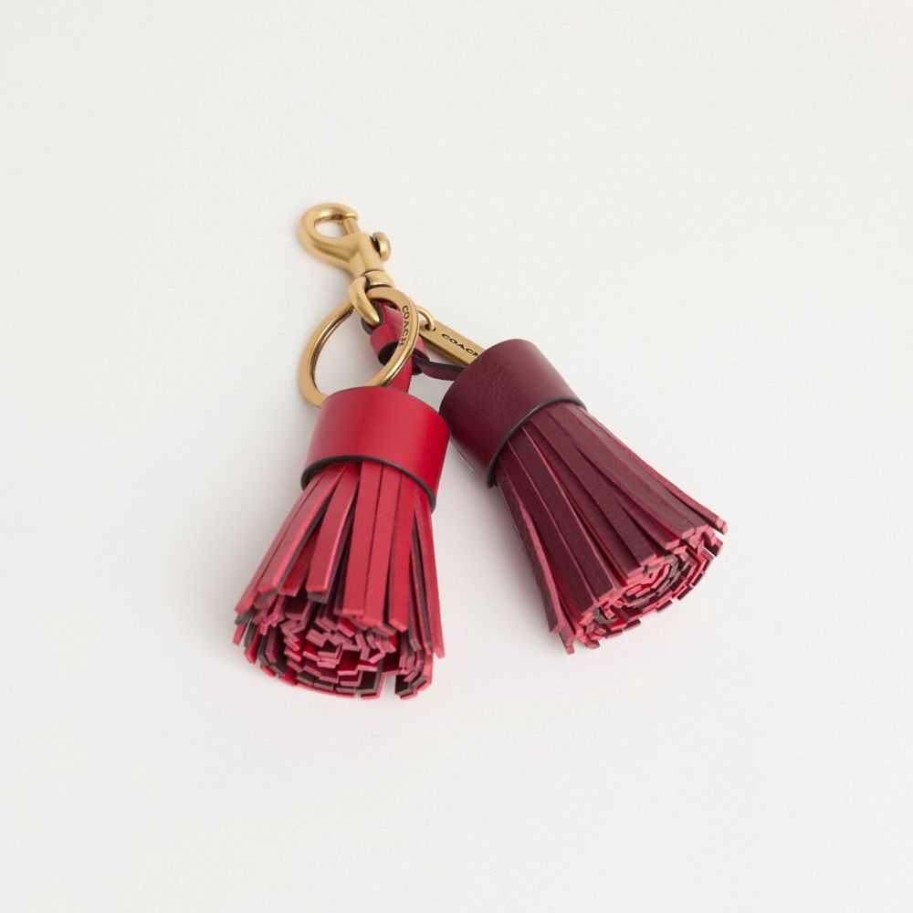 Coach tassel bag discount charm