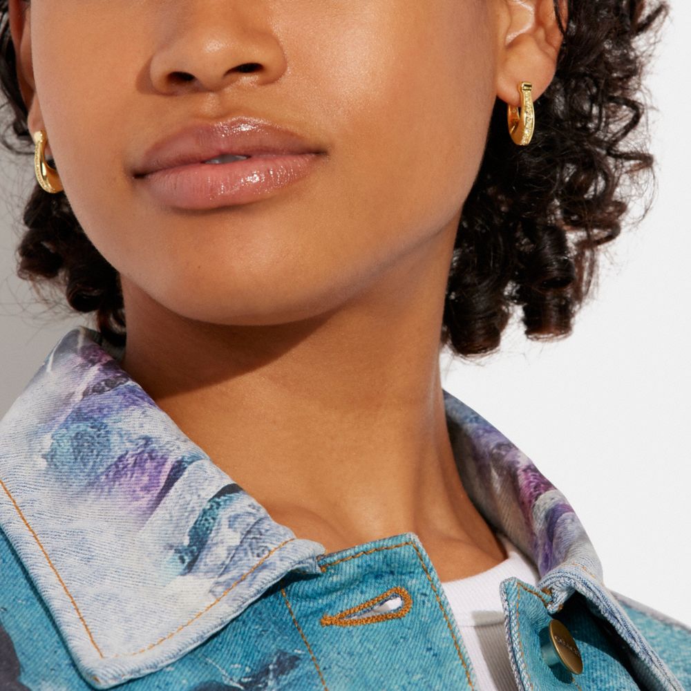 Pave hot sale hoop earrings