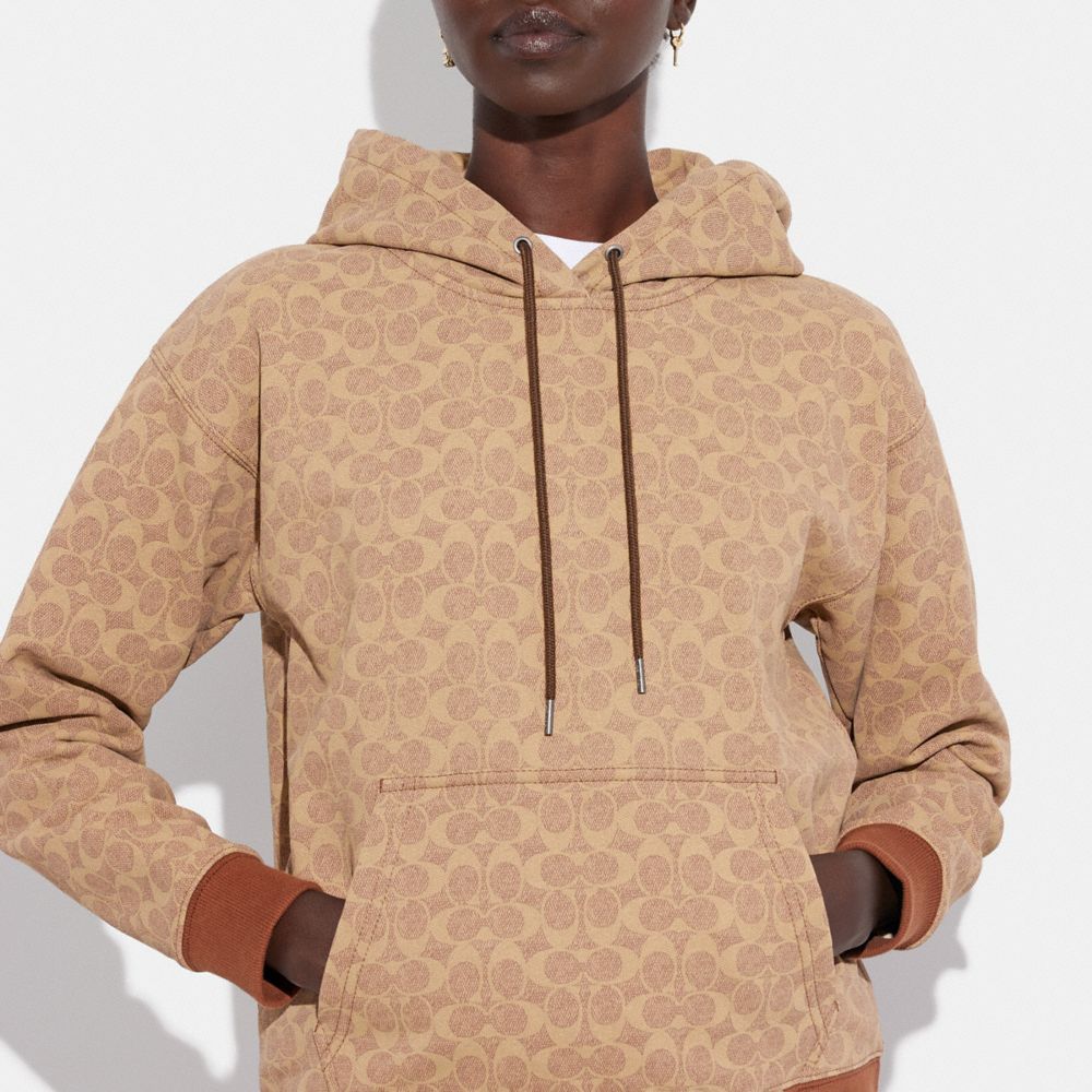 Catch The Sun Tan Drawstring Hoodie