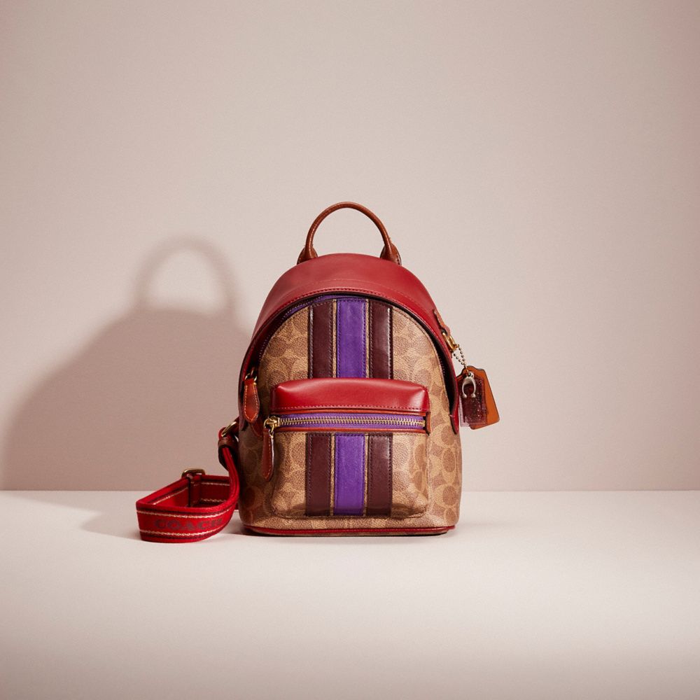 coach colorblock value charter backpack