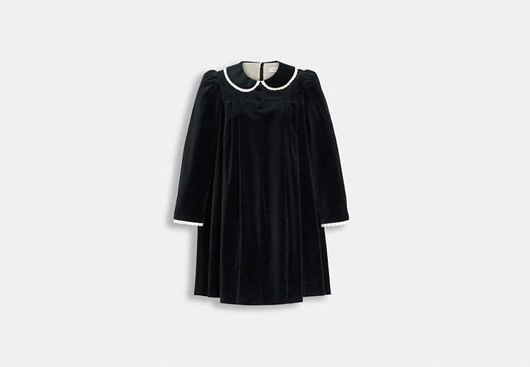 COACH®,VELVET PLEATED DRESS,cotton,Black,Front View