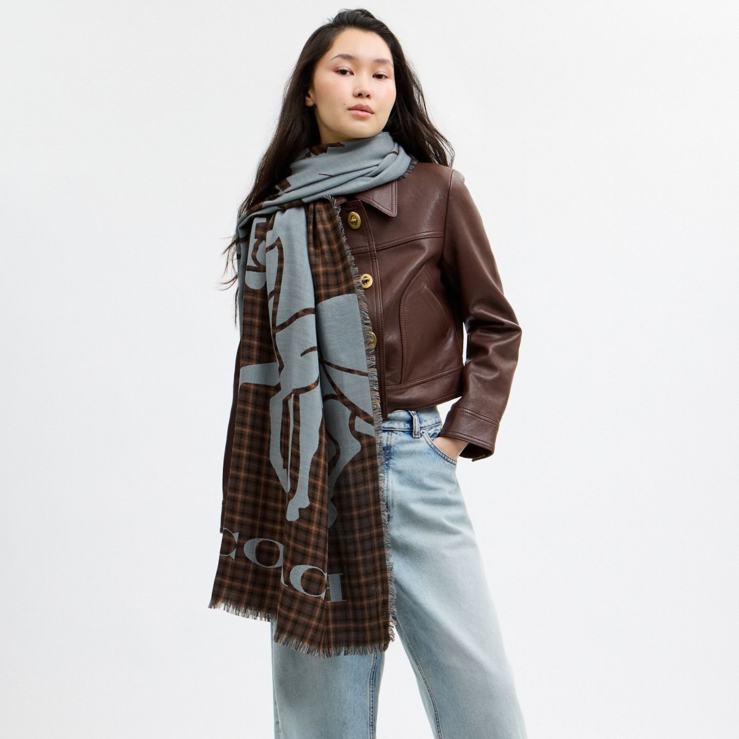 Аксессуары Coach Horse And Carriage Print Plaid Stole, цвет: Верблюжий / Разноцветный — фото 2