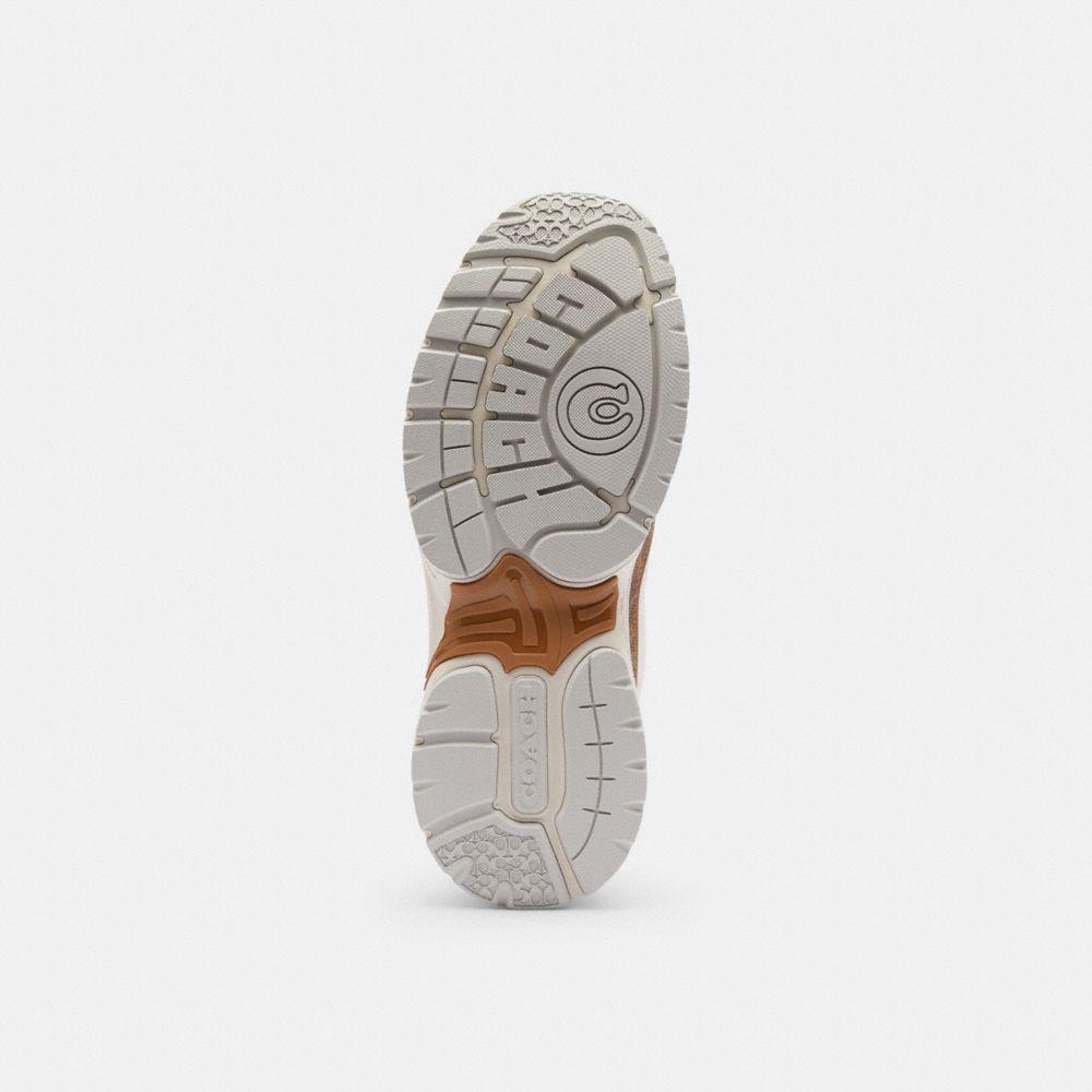 Sport Sneaker Signature Canvas