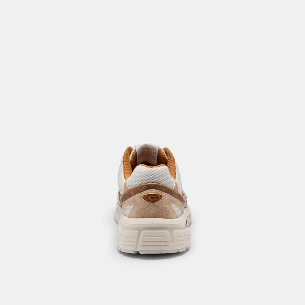 Sport Sneaker Signature Canvas