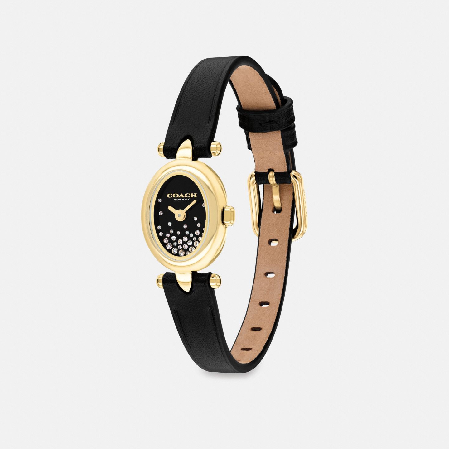 Женские часы Coach Sammy Watch, 18 Mm X 22.5 Mm, цвет: Чёрный — фото 2