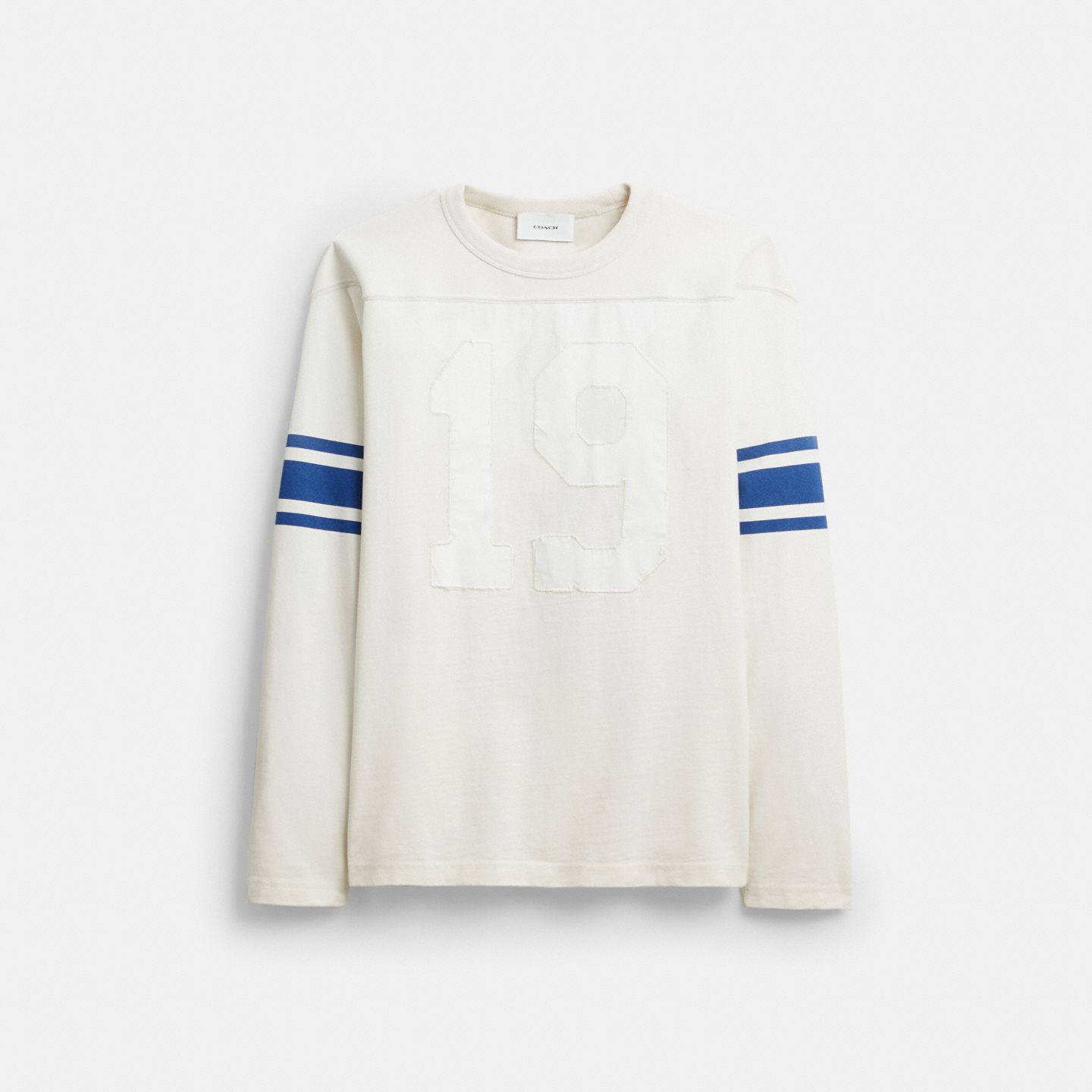 Мужская футболка Coach Striped Varsity Long Sleeve T-Shirt In Organic Cotton, цвет: Белый / Синий — фото 1