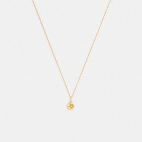 Колье Coach Tea Rose Solitaire с подвеской, цвет: Золотой