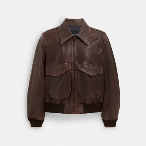 Мужская куртка Coach Leather Bomber, цвет: Коричневый