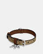 COACH®,BOXED SMALL PET COLLAR IN SIGNATURE CANVAS,pvc,Silver/Khaki Saddle,Inside View,Top View