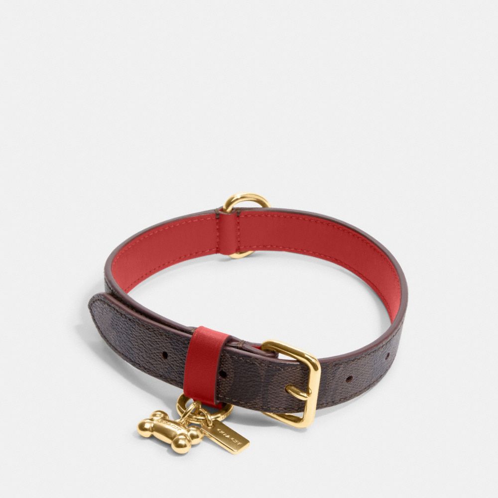 COACH®,BOXED MEDIUM PET COLLAR IN SIGNATURE CANVAS,Im/Brown Black/Red Apple,Inside View,Top View