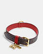 COACH®,BOXED MEDIUM PET COLLAR IN SIGNATURE CANVAS,pvc,Im/Brown Black/Red Apple,Inside View,Top View