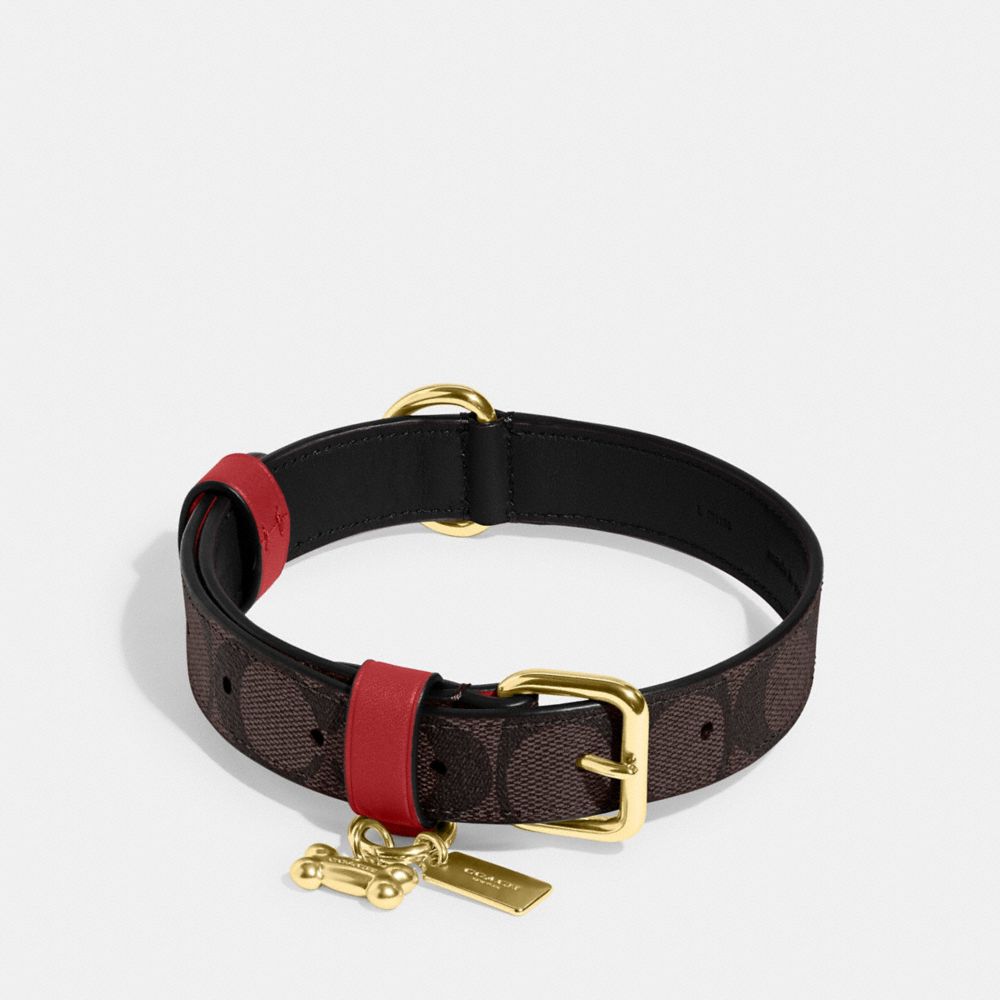 COACH®,BOXED LARGE PET COLLAR IN SIGNATURE CANVAS,Im/Brown Black/Red Apple,Inside View,Top View
