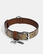 COACH®,BOXED LARGE PET COLLAR IN SIGNATURE CANVAS,pvc,Silver/Khaki Saddle,Inside View,Top View