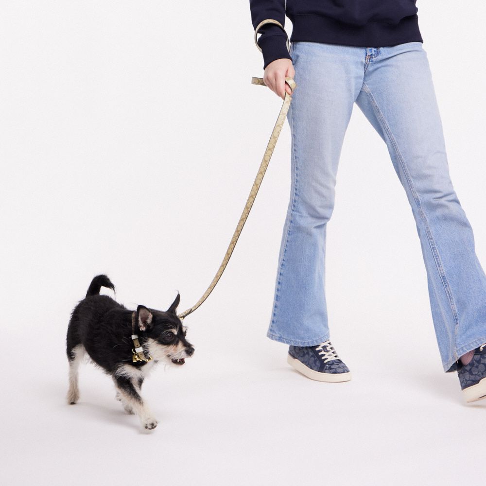 COACH®,Boxed Small Pet Leash In Signature Canvas,,Detail View