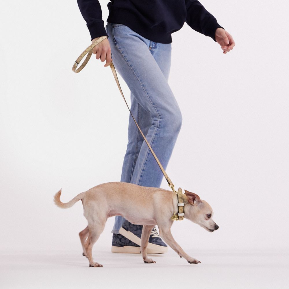 COACH®,Boxed Small Pet Leash In Signature Canvas,,Detail View