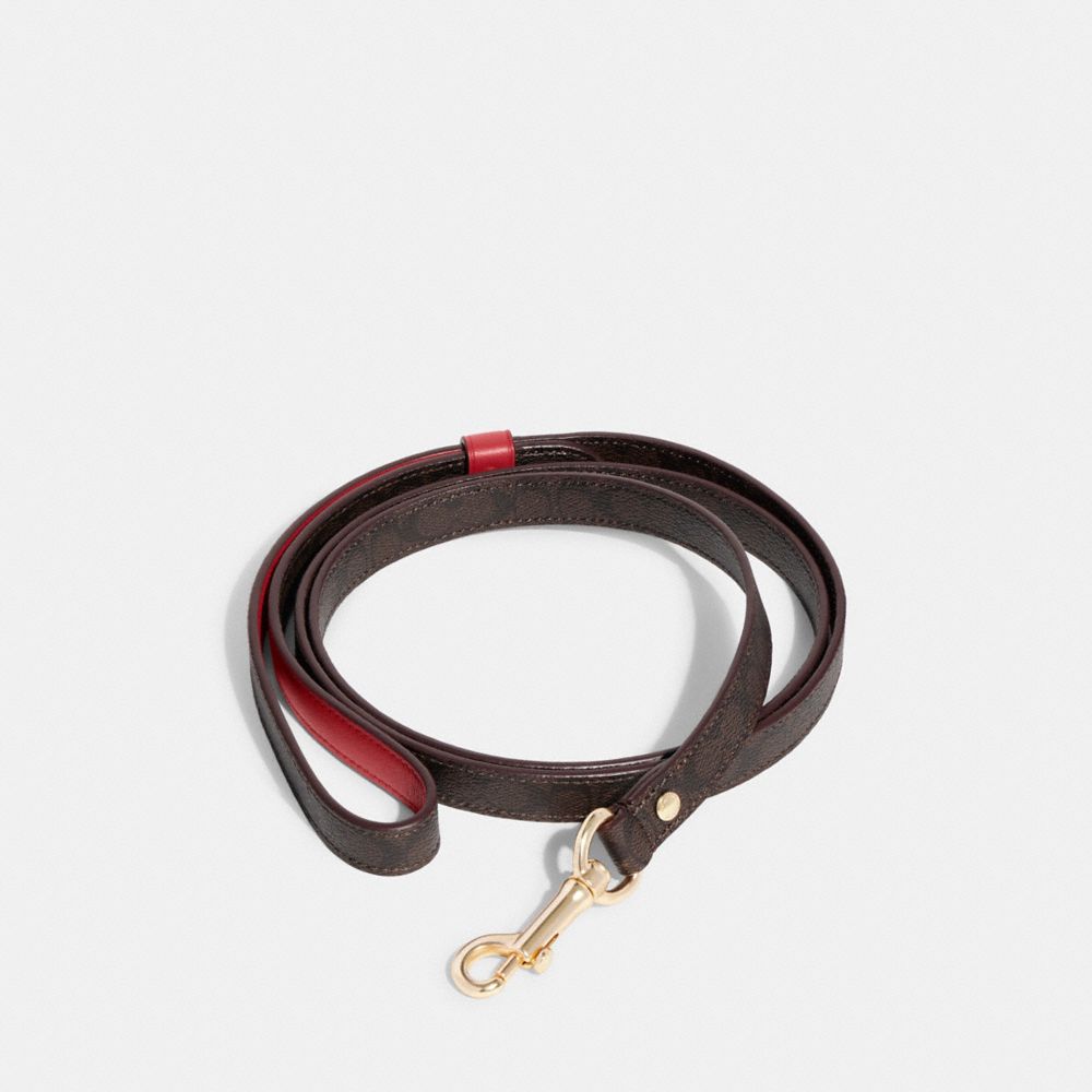 Coach outlet shop dog collar