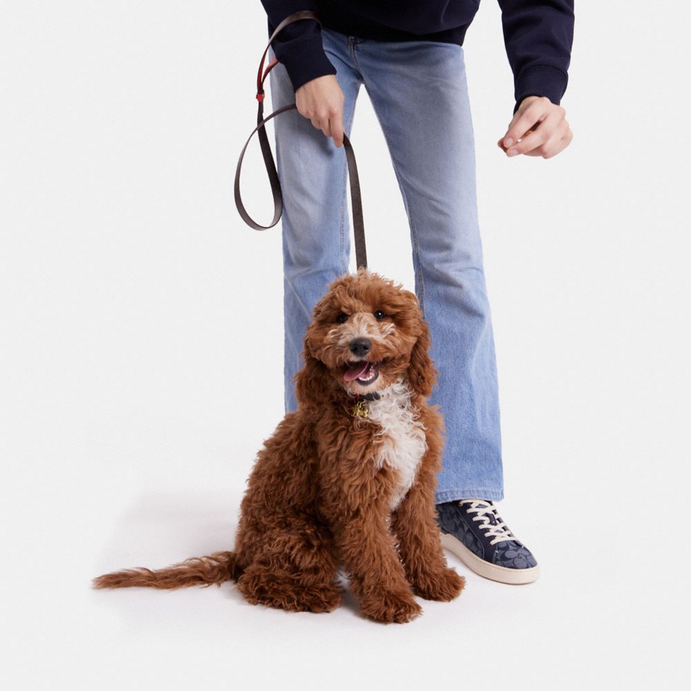 COACH®,BOXED SMALL PET LEASH IN SIGNATURE CANVAS,Im/Brown Black/Red Apple,Detail View