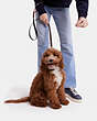 COACH®,BOXED SMALL PET LEASH IN SIGNATURE CANVAS,pvc,Im/Brown Black/Red Apple,Detail View