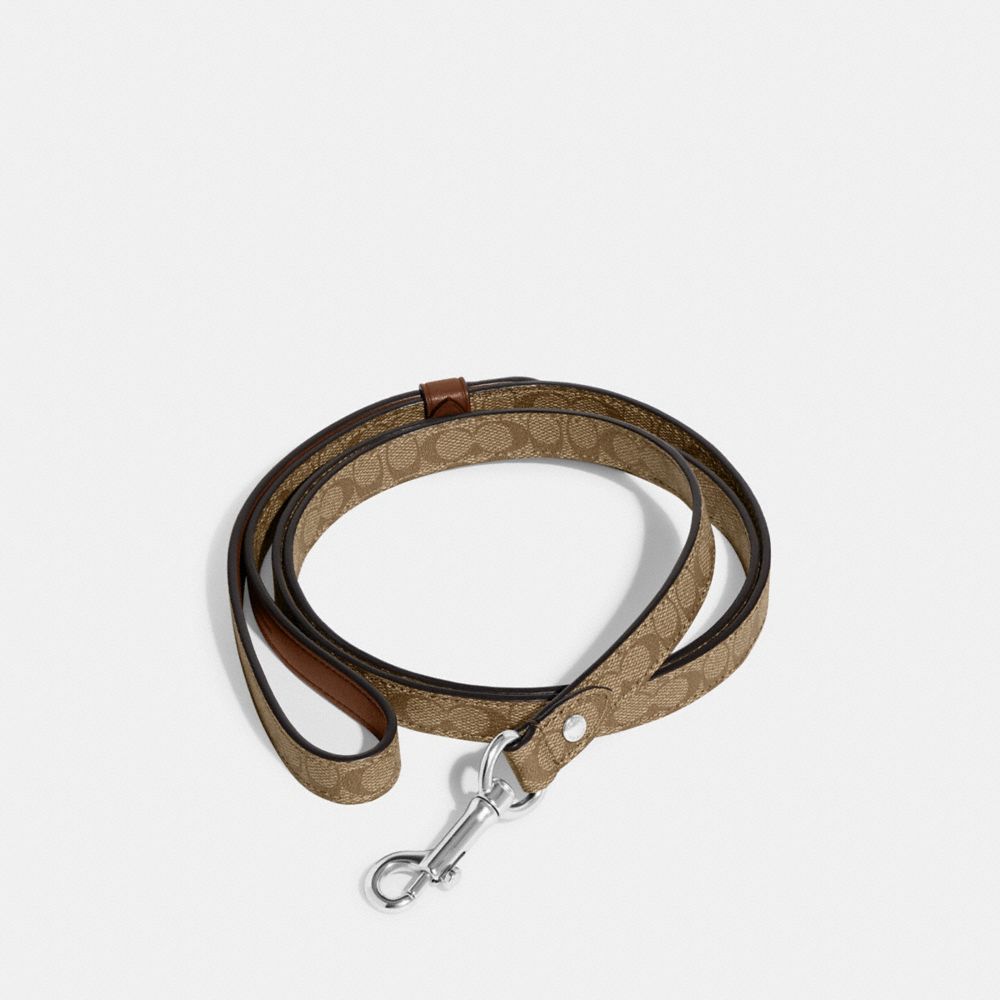 Coach dog shop collar small