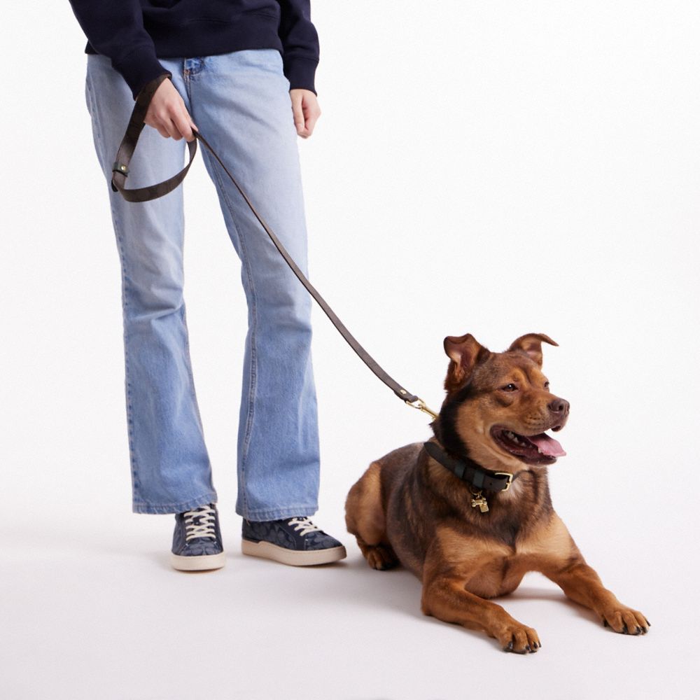COACH®,Boxed Large Pet Leash In Signature Canvas,,Detail View