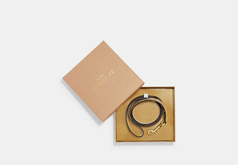 COACH®,BOXED LARGE PET LEASH IN SIGNATURE CANVAS,pvc,Gold/Light Khaki Chalk,Front View