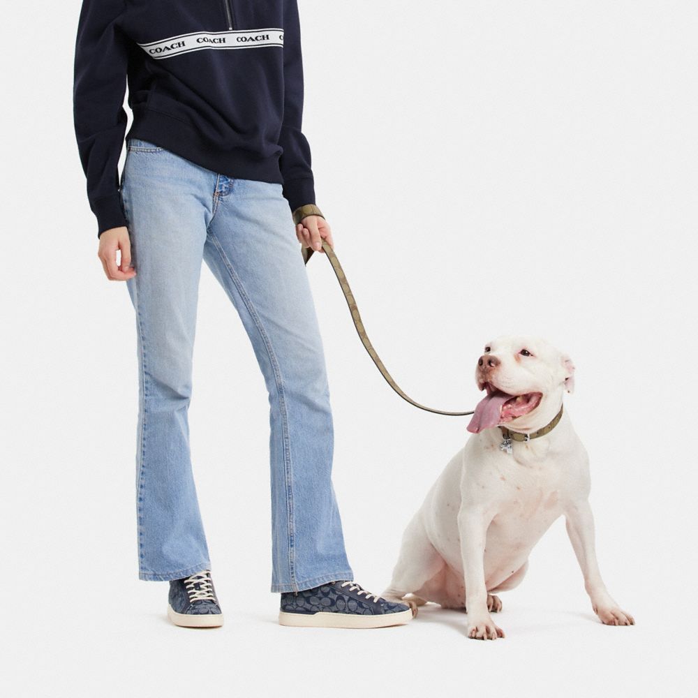 COACH®,BOXED LARGE PET LEASH IN SIGNATURE CANVAS,Silver/Khaki Saddle,Detail View