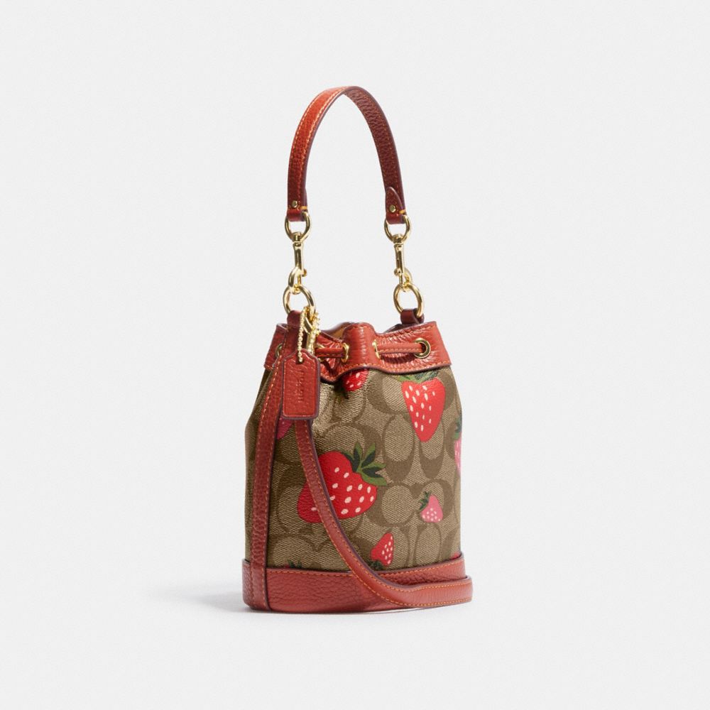 COACH®  Mini Dempsey Bucket Bag In Signature Canvas With Heart And Star  Print