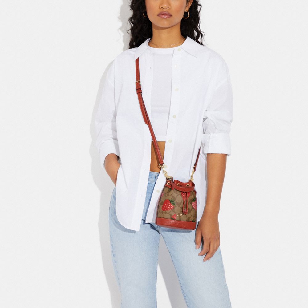 Mini Dempsey Bucket Bag In Signature Canvas With Wild Strawberry Print