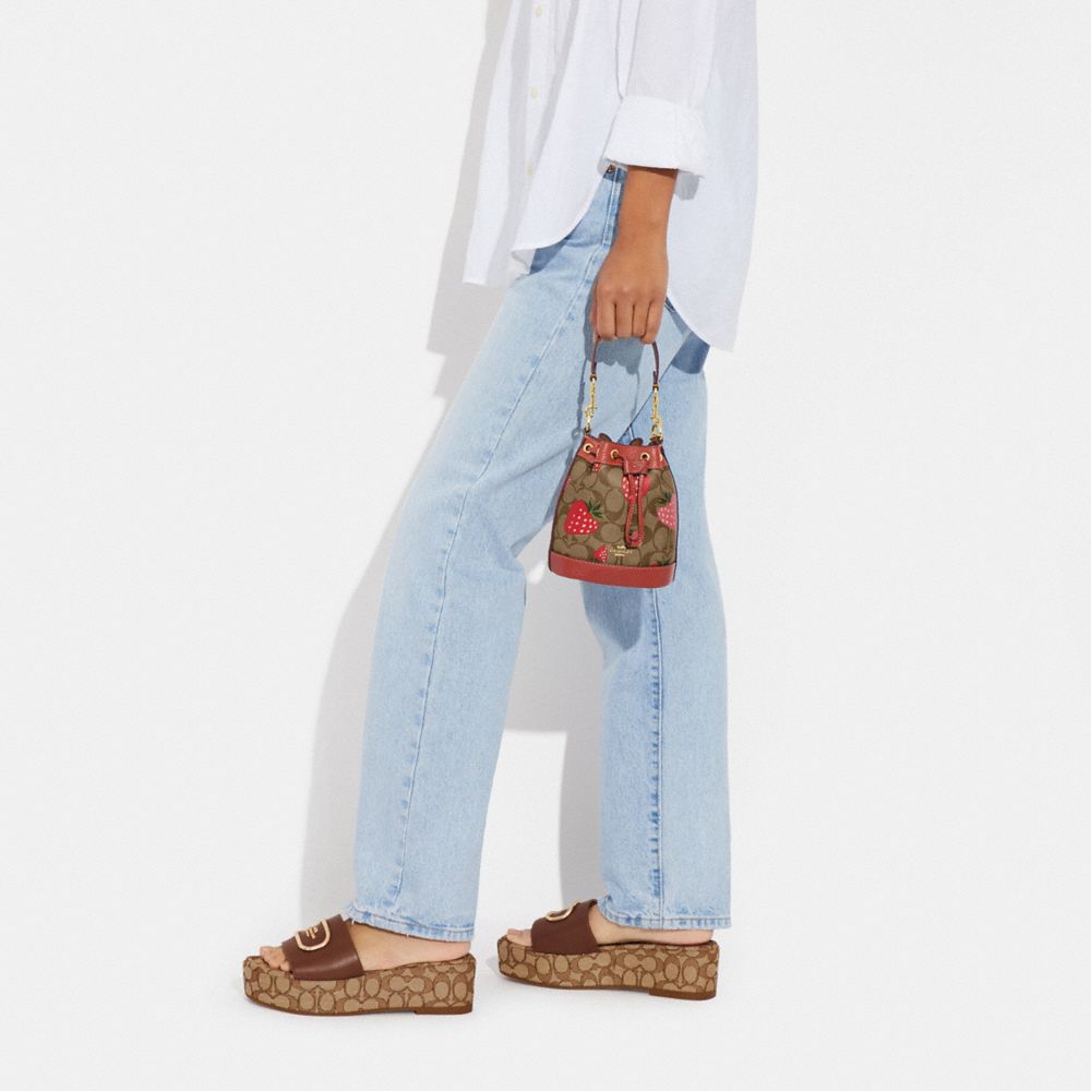 Mini Dempsey Bucket Bag In Signature Canvas With Wild Strawberry Print