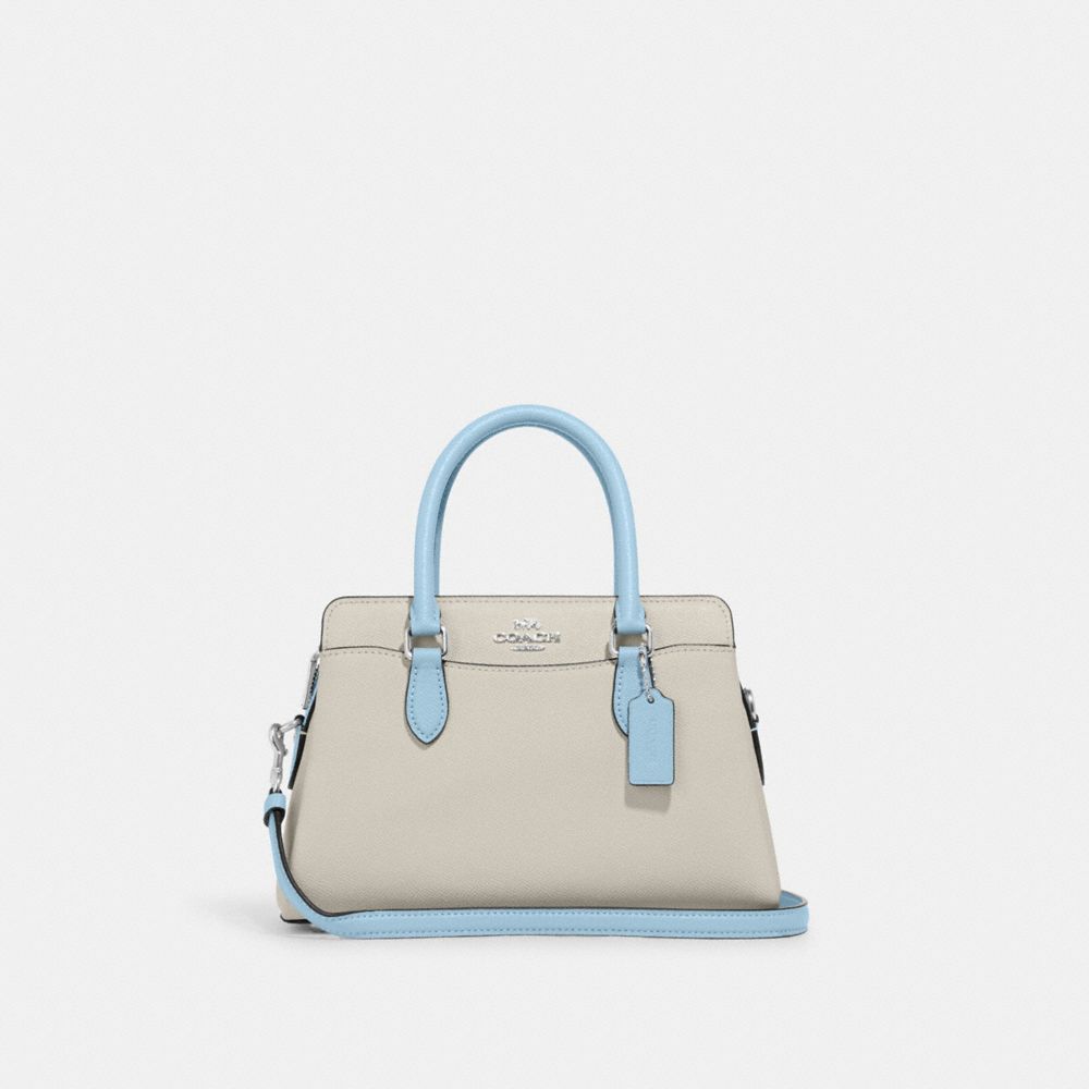 Mini Darcie Carryall Bag