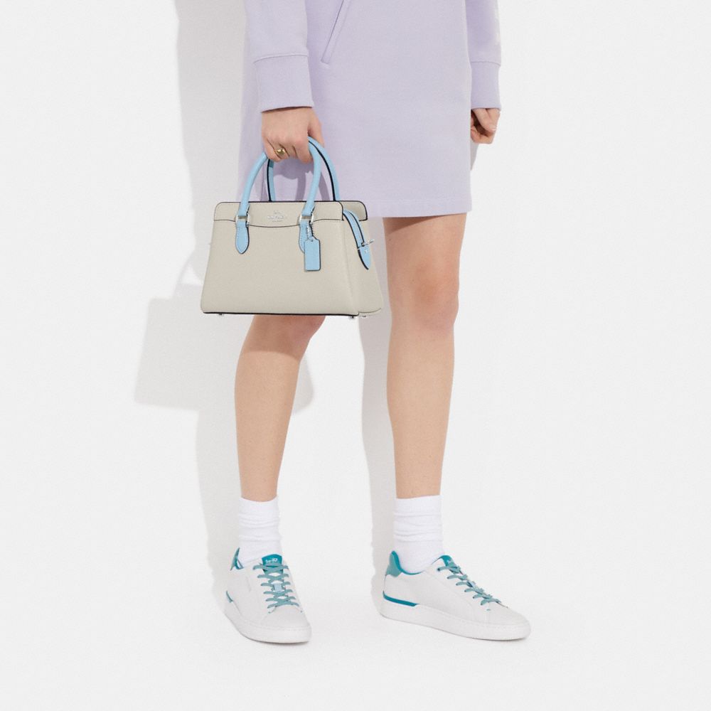 Mini Darcie Carryall Bag