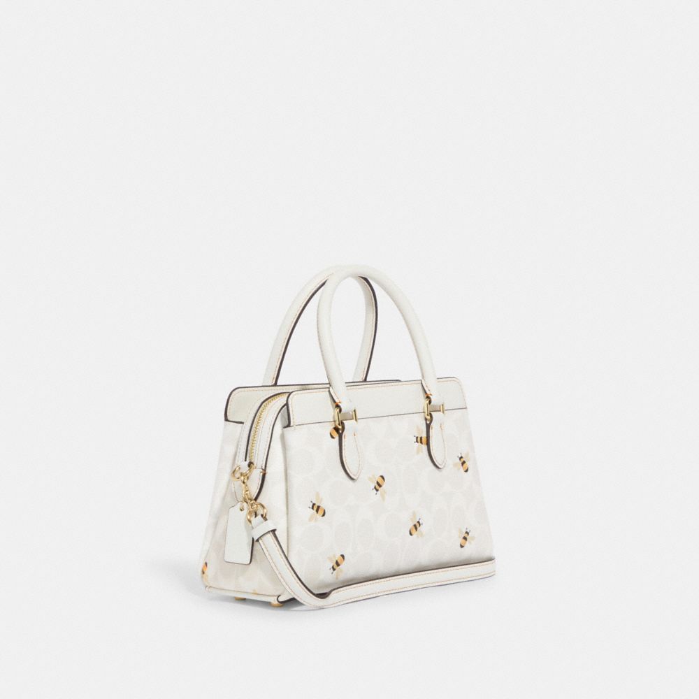 Coach Outlet Mini Rowan Crossbody In Signature Canvas With Hula Print In  Silver/chalk/glacier White Multi