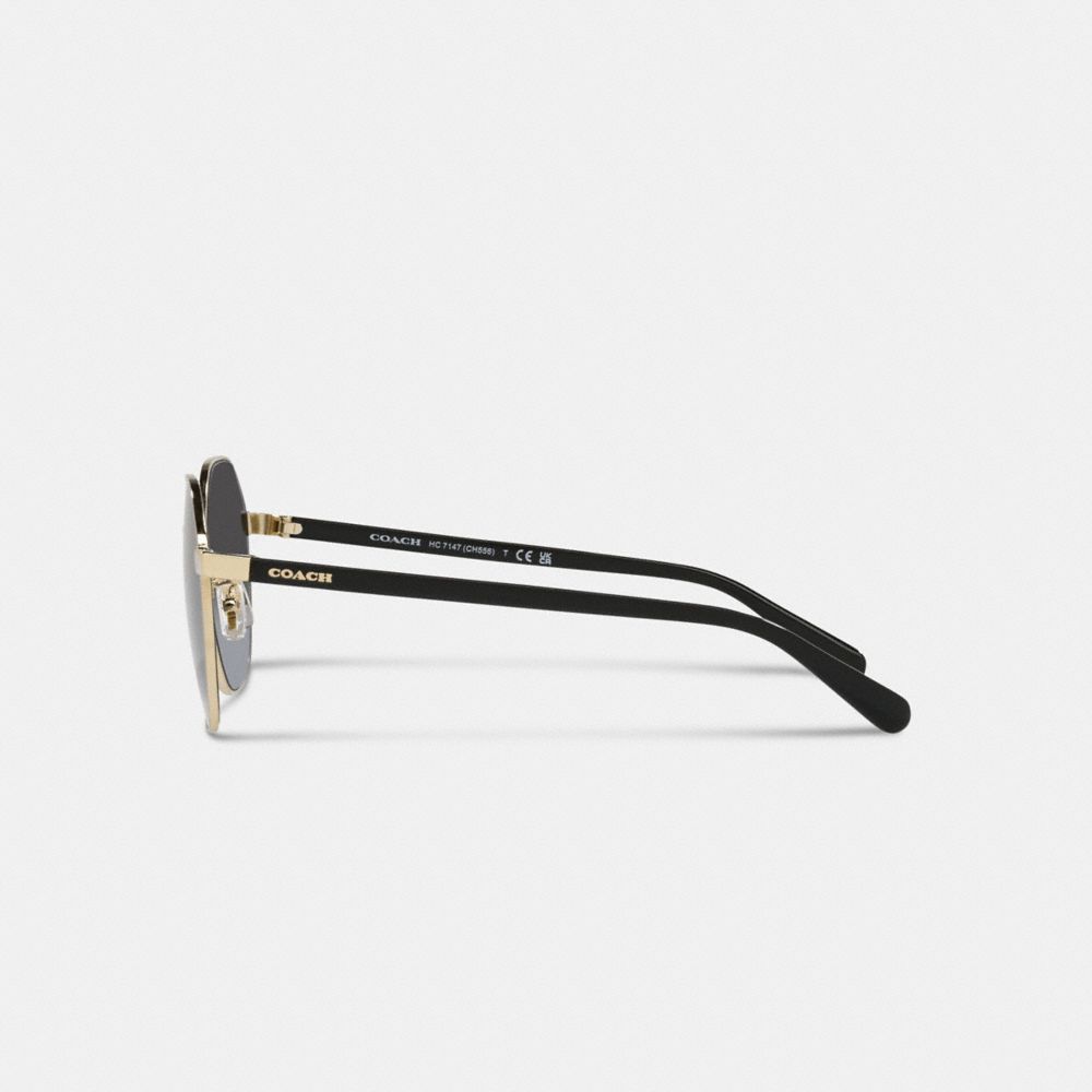 COACH®,Metal Hexagon Sunglasses,Hexagon,Logo,Word Embellishment,Adjustable Nose Pads,Casual,Gray,Alternate View