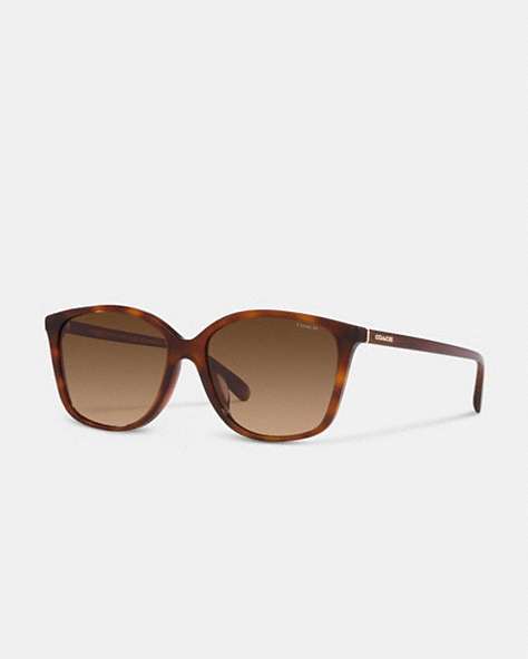 COACH®,EMBEDDED WIRE SQUARE SUNGLASSES,Dark Tortoise,Front View
