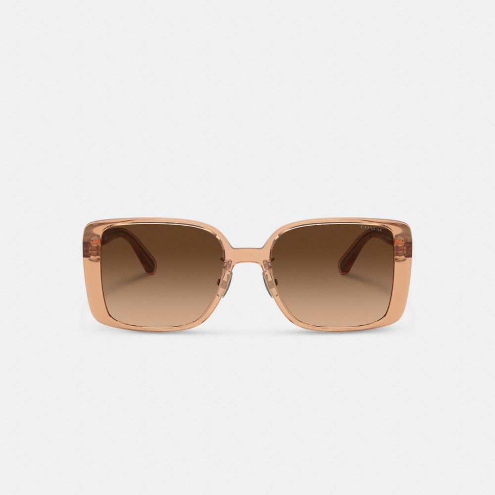 COACH®,Disney X Coach Striped Oversized Square Sunglasses,,Inside View,Top View