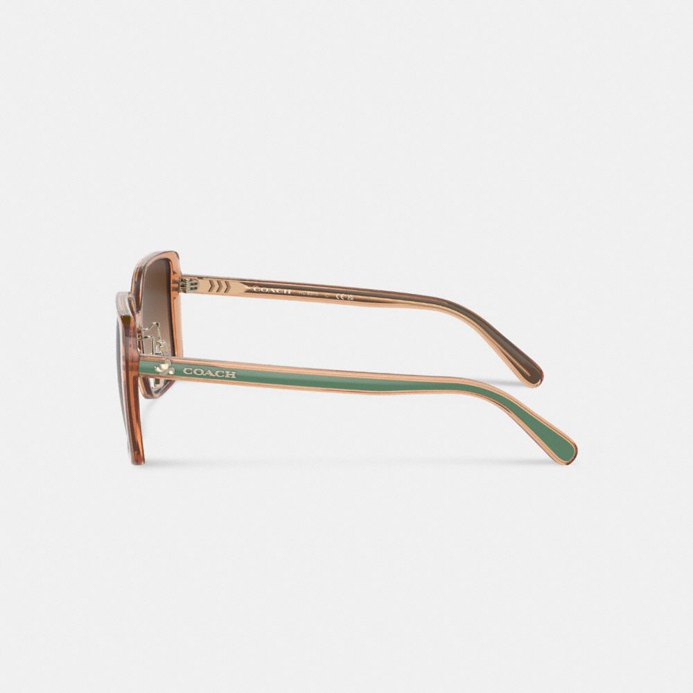 COACH®,Disney X Coach Striped Oversized Square Sunglasses,,Alternate View