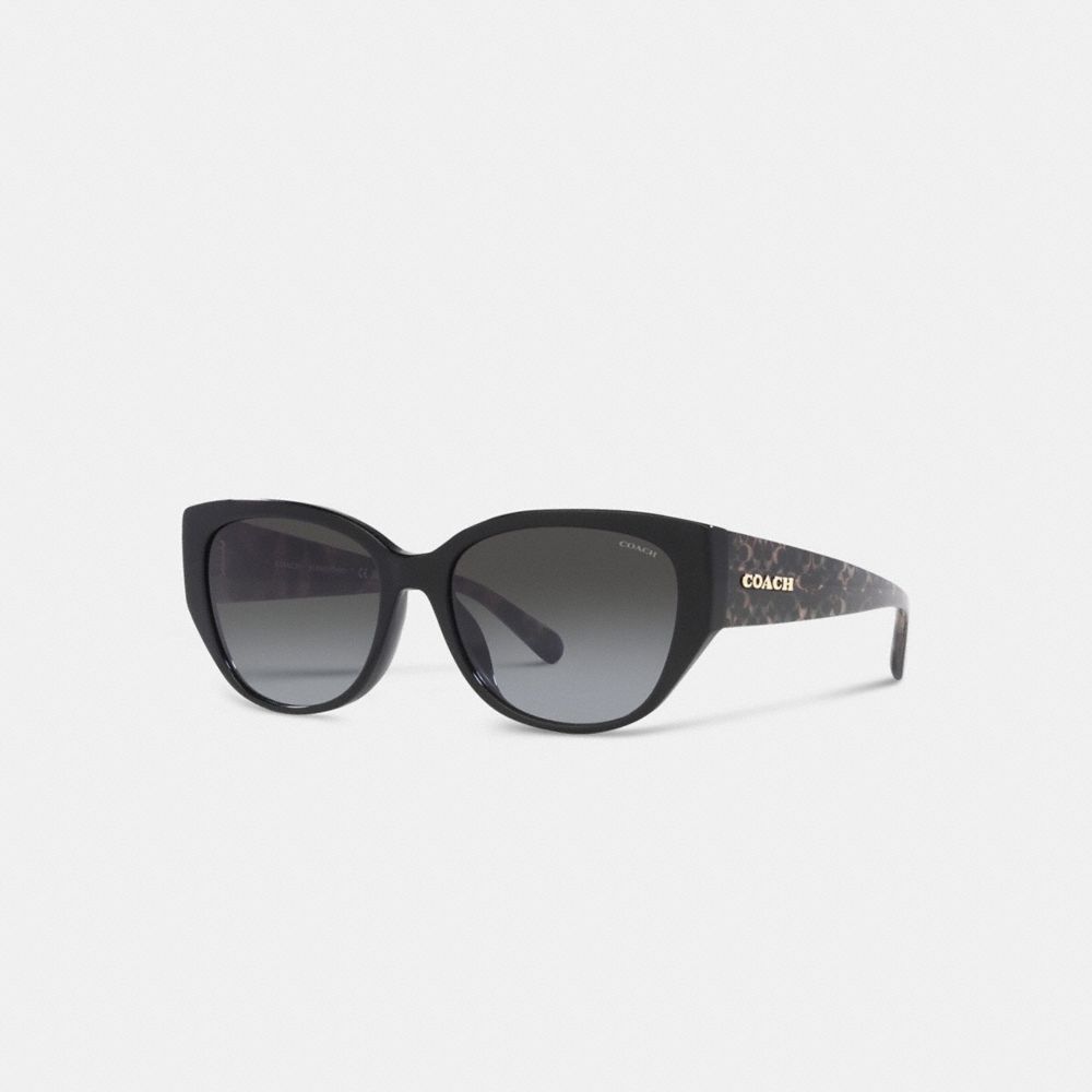 Black Signature Rounded Cat Eye Sunglasses