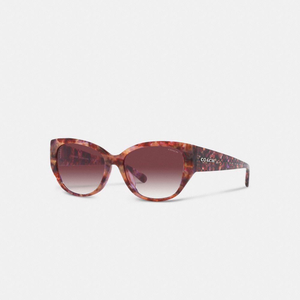 【shaggy】dyson ダイソン + コーチサングラス COACH® | Signature Rounded Cat Eye Sunglasses