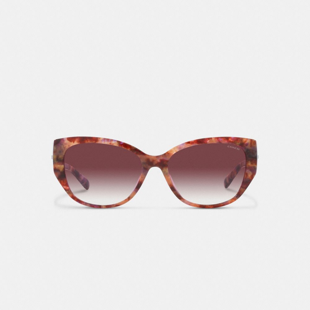 COACH® | Signature Rounded Cat Eye Sunglasses