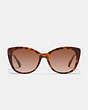 COACH®,BEVELED SIGNATURE OVERSIZED CAT EYE SUNGLASSES,Tortoise/Transparent Pink,Inside View,Top View
