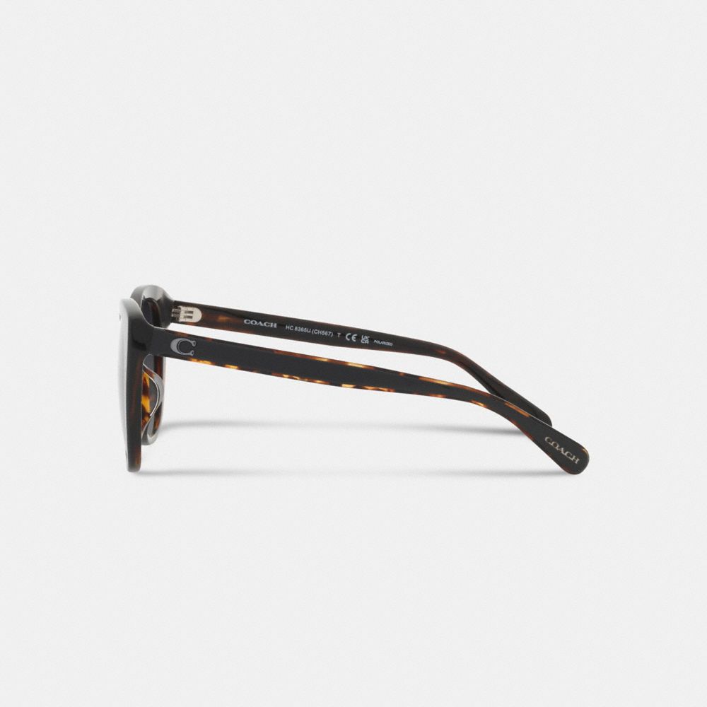 Beveled Signature Oversized Cat Eye Sunglasses