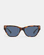 COACH®,BEVELED SIGNATURE SQUARE CAT EYE SUNGLASSES,Tortoise/Crystal,Inside View,Top View