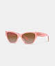 COACH®,BEVELED SIGNATURE SQUARE CAT EYE SUNGLASSES,Transparent Pink,Front View