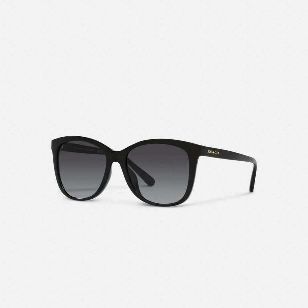 COACH® | Geometric Square Sunglasses