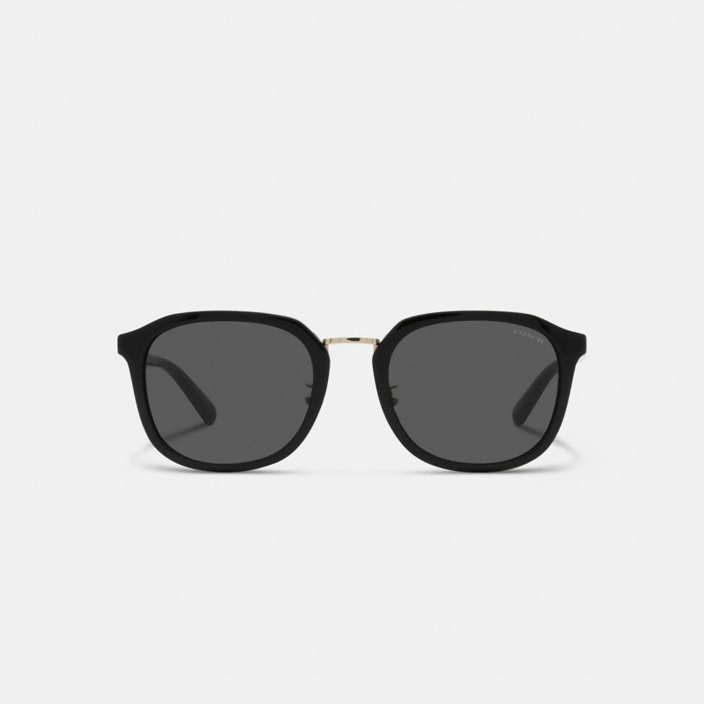 COACH®,ROUNDED GEOMETRIC SUNGLASSES,Black,Inside View,Top View