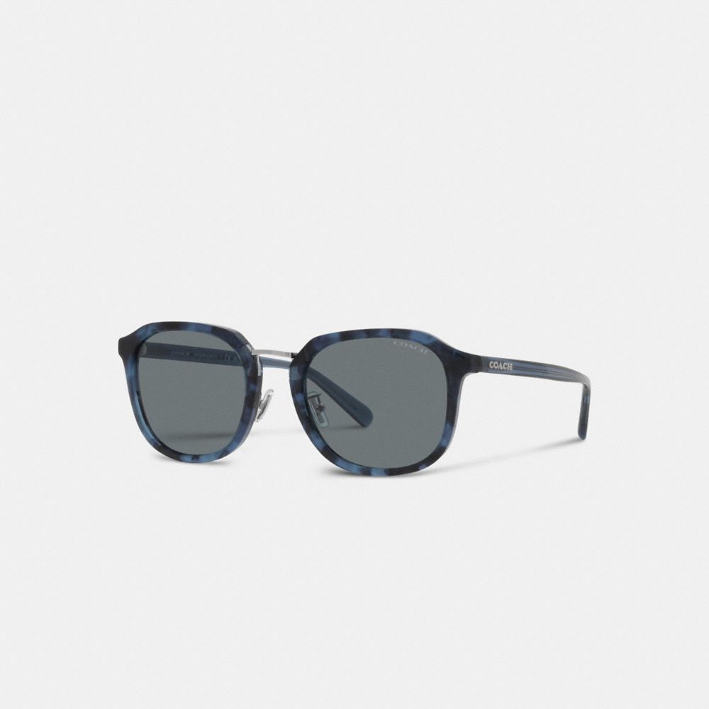 COACH®,ROUNDED GEOMETRIC SUNGLASSES,Blue Tortoise,Front View image number 0