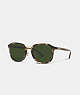 COACH®,ROUNDED GEOMETRIC SUNGLASSES,Green Tortoise,Front View
