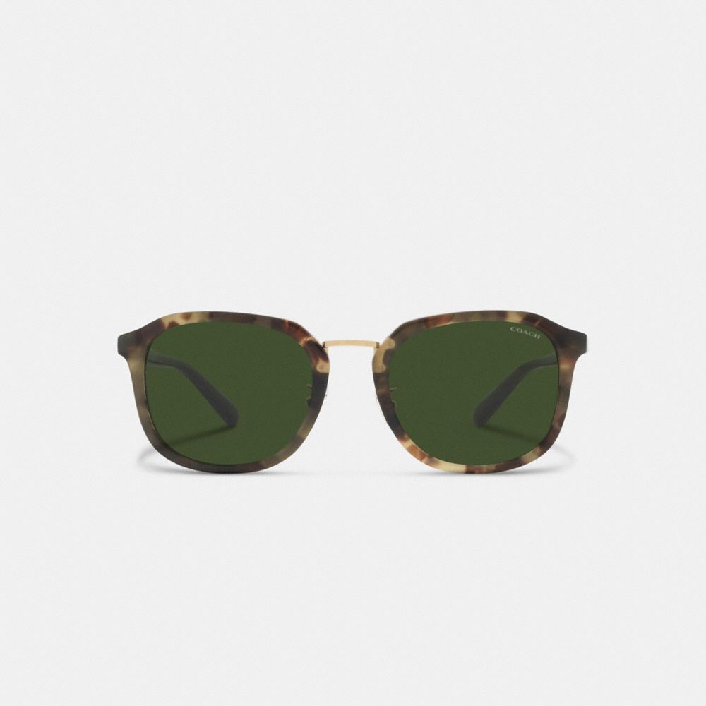 COACH®,ROUNDED GEOMETRIC SUNGLASSES,Green Tortoise,Inside View,Top View